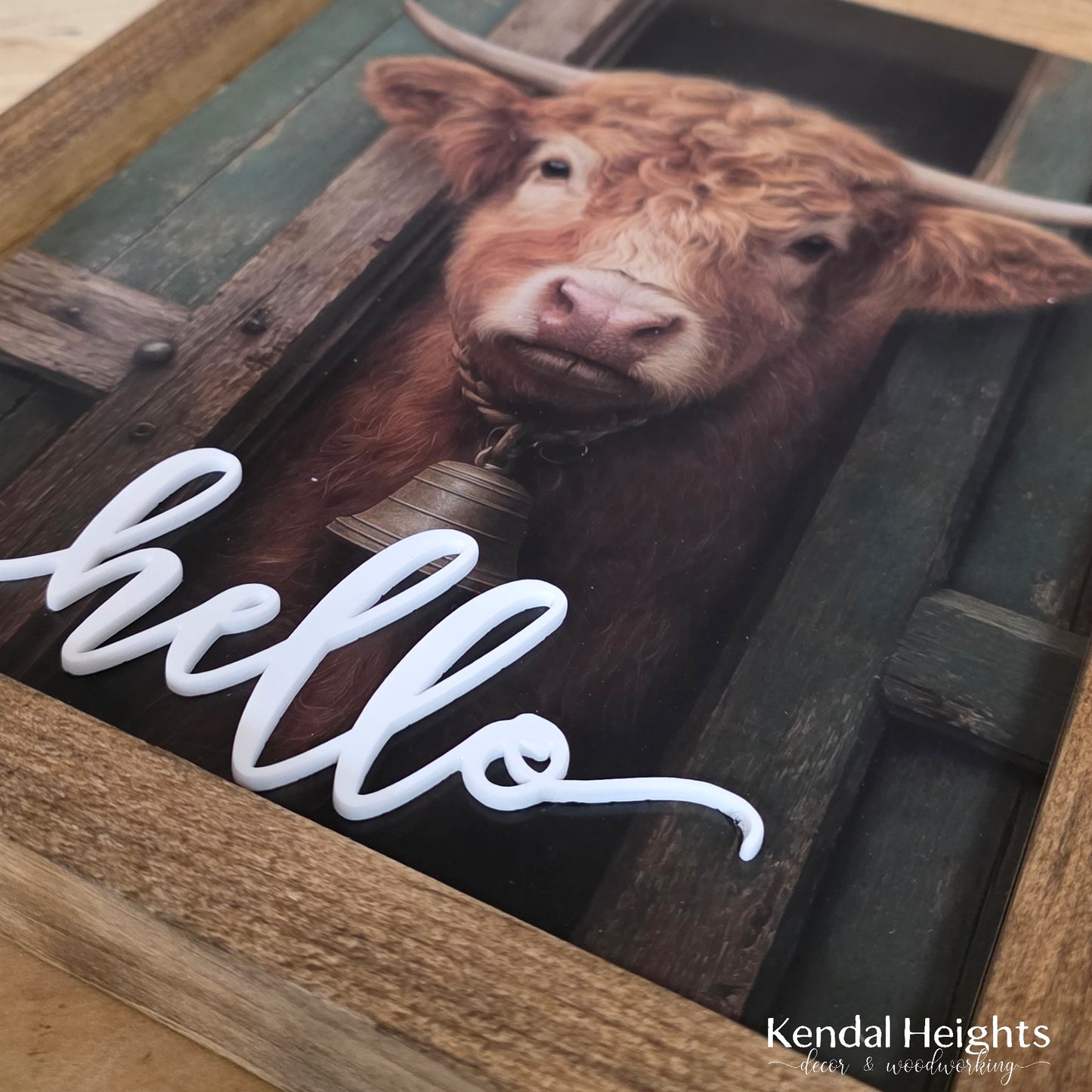 Highland Cow