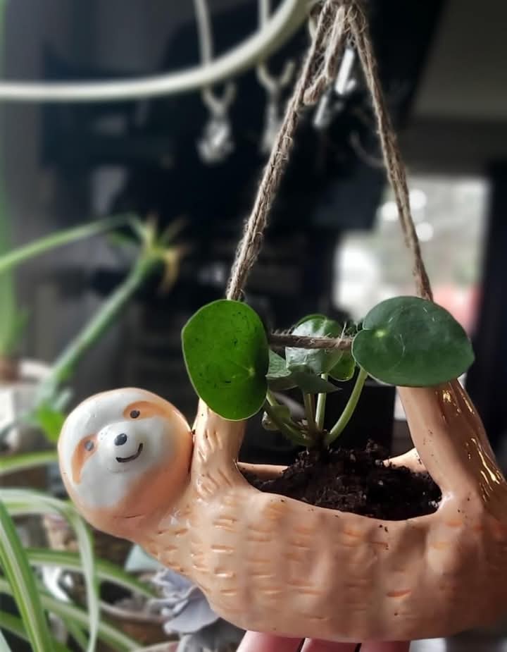 Pottery Workshop - Deposit Only