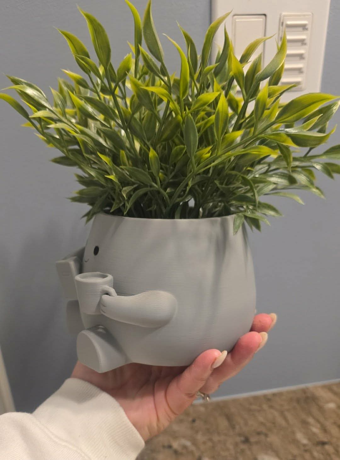 Plant Buddies